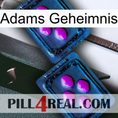 Adams Secret 03